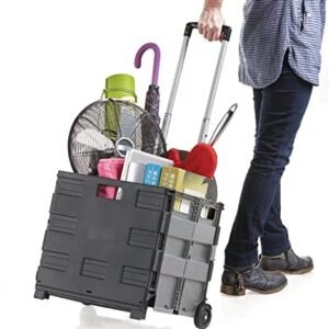 Inspired Living Ultra-Slim Rolling Collapsible Storage Pack-N-Roll Utility-carts, with Telescopic Handle, for Home, Garden, Shopping, Office, School use, Large, Grey & Black