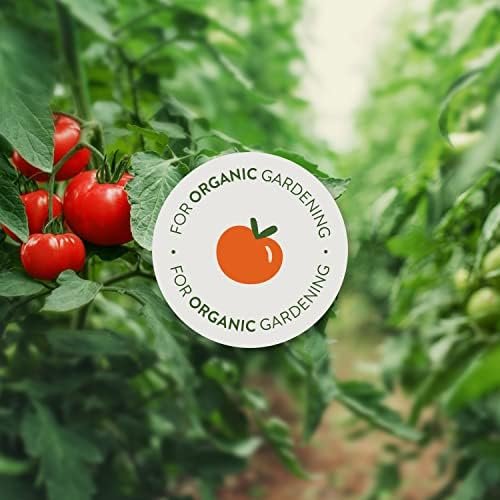 Garden Safe 32 oz. Houseplant and Garden Insect Killer Ready-to-Use - Image 9