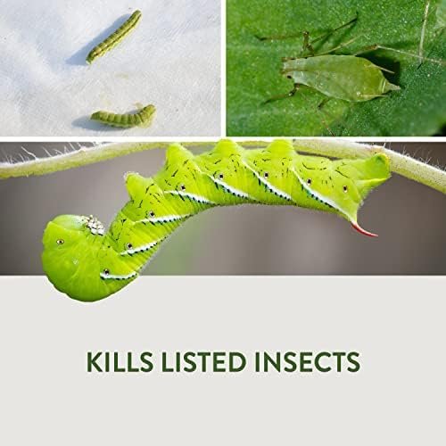 Garden Safe 32 oz. Houseplant and Garden Insect Killer Ready-to-Use - Image 11