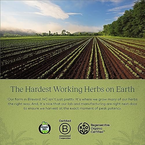 Gaia Herbs Vitex Berry (Chaste Tree) - Supports Hormone Balance & Fertility for Women - Helps Maintain Healthy Progesterone Levels to Support Menstrual Cycle Health - 120 Vegan Caps (60-Day Supply) - Image 8